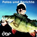 Angelberichte